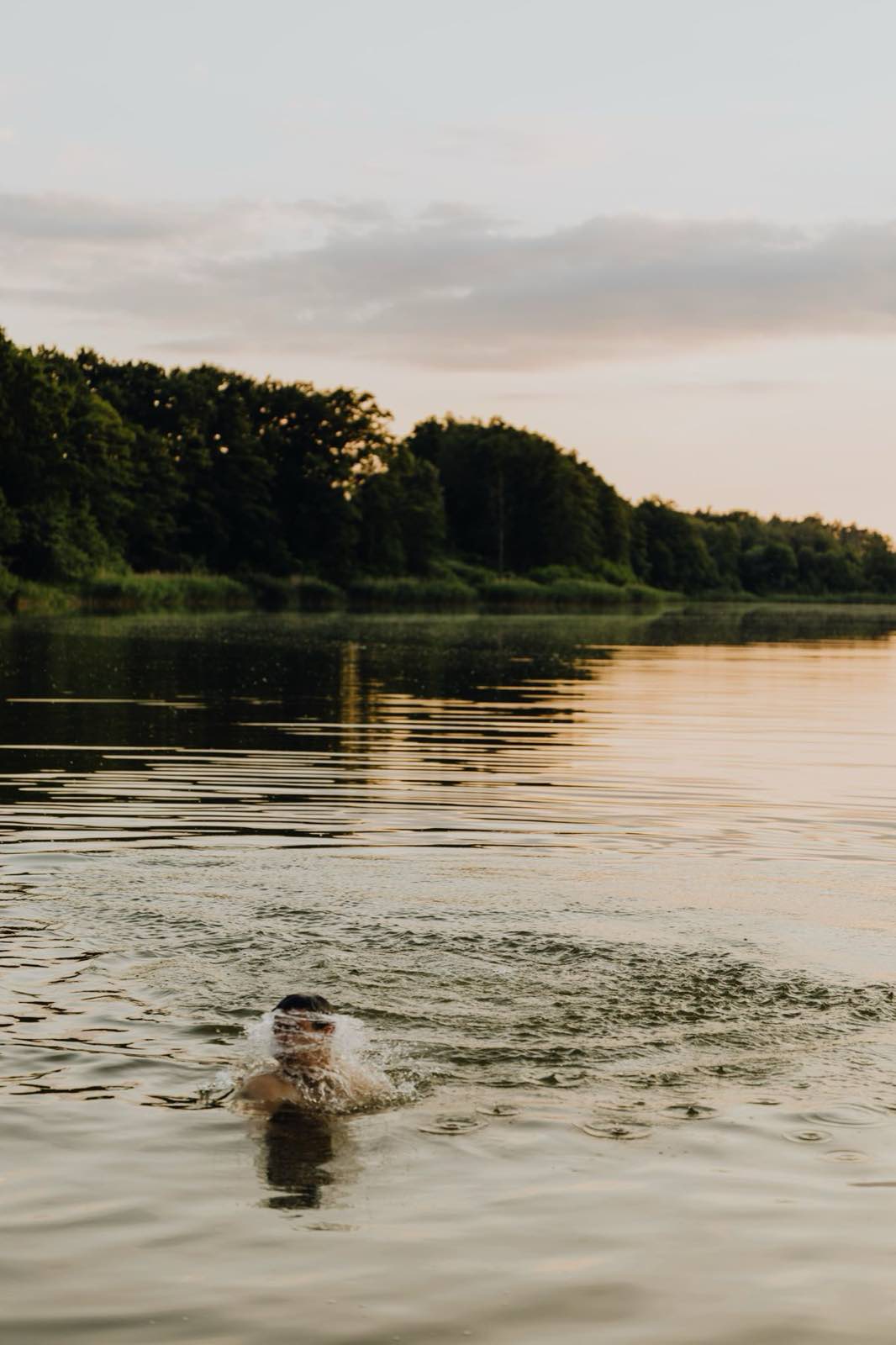 A swimmer in still northern water at golden hour